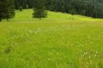 2014-07-05_Laengental-N-Hochweg (352). JPG